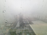 Day 3，香港紅雨
