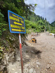 進入馬納斯盧峰環線(Manaslu Circuit Trek）