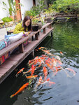 餵吓魚又得