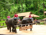 Elephant School
20060901_040