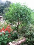 Heroin
20060901_173