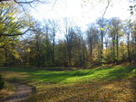 Lord of the Ring?
20051103_112