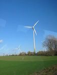 20051105_245