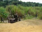 衝呀!! 敵軍們