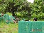 gallery_20070325_011