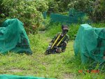 gallery_20070325_017