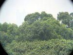 望遠鏡內的風光