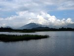 IMG_0296