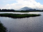 IMG_0297