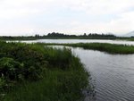 IMG_0299