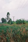 F1330019