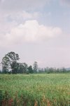 F1330022