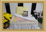 20100329_016