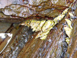 P1010438