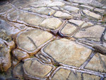 P1010508