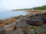 P1010516