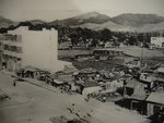 P1010193