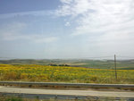2014-05-24 14.29.55
