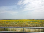 2014-05-24 14.30.03