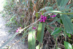 SAM_0470