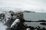 DSC_5031