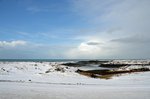 DSC_5099