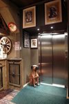 SAM_6209