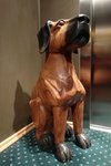 SAM_6226