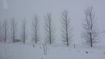 20150309_134445