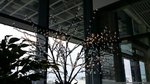 20150311_133559