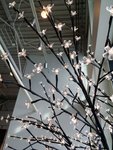 20150311_133627