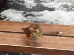 20150312_153739