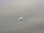 20150313_152432