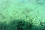 DSCF2633