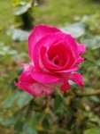 20190505_162247