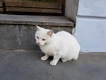 20190506_130947