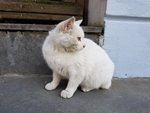 20190506_130951
