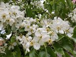 20190509_123509