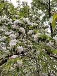 20190509_133802