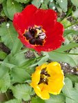 20190509_133850
