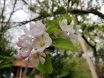 20190509_133914