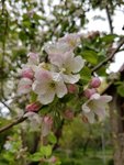 20190509_133935