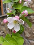 20190509_133945