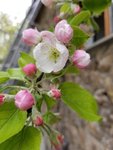 20190509_134023