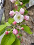 20190509_134034