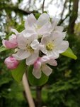 20190509_134051