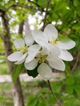 20190509_134658