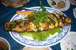 P1030268