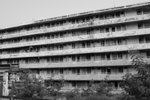 DSC_0131
