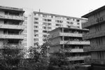 DSC_0147